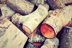 Rigg wood burning boiler costs